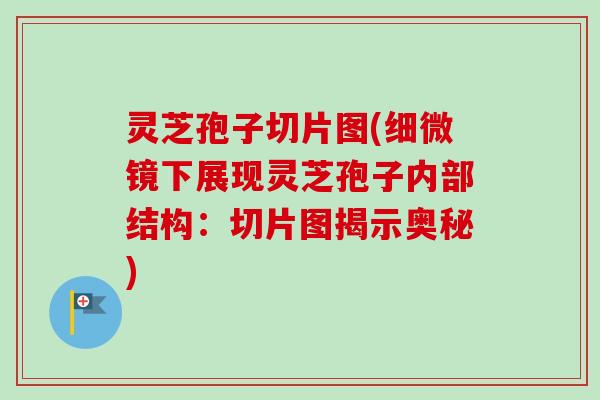 灵芝孢子切片图(细微镜下展现灵芝孢子内部结构:切片图揭示奥秘)