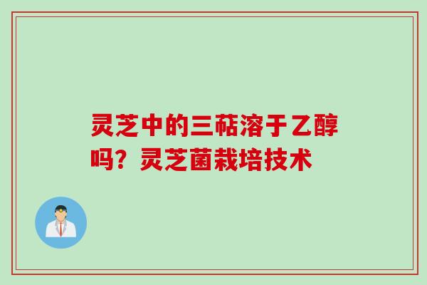 灵芝中的三萜溶于乙醇吗？灵芝菌栽培技术