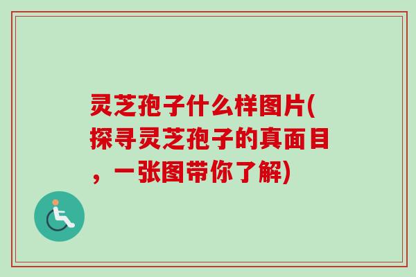 灵芝孢子什么样图片(探寻灵芝孢子的真面目，一张图带你了解)