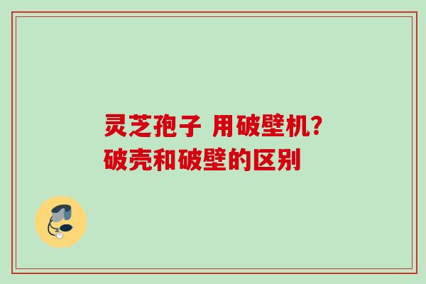 灵芝孢子 用破壁机?破壳和破壁的区别 灵芝孢子 用破壁机?破壳和破壁的区别