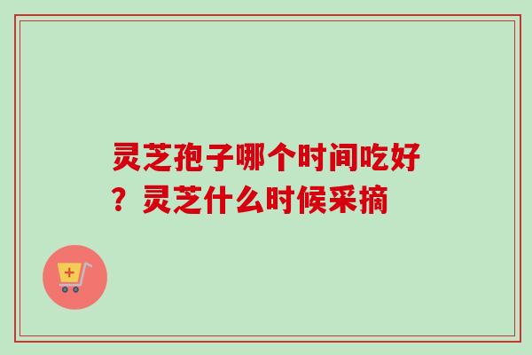 灵芝孢子哪个时间吃好?灵芝什么时候采摘