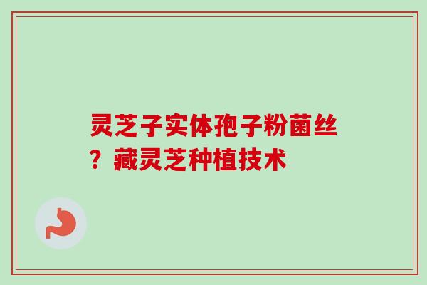 灵芝子实体孢子粉菌丝？藏灵芝种植技术