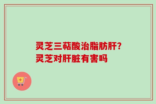 灵芝三萜酸治脂肪肝?灵芝对肝脏有害吗