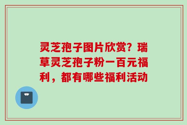 灵芝孢子图片欣赏？瑞草灵芝孢子粉一百元福利，都有哪些福利活动