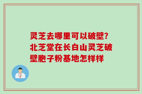 灵芝去哪里可以破壁?北芝堂在长白山灵芝破壁胞子粉基地怎样样