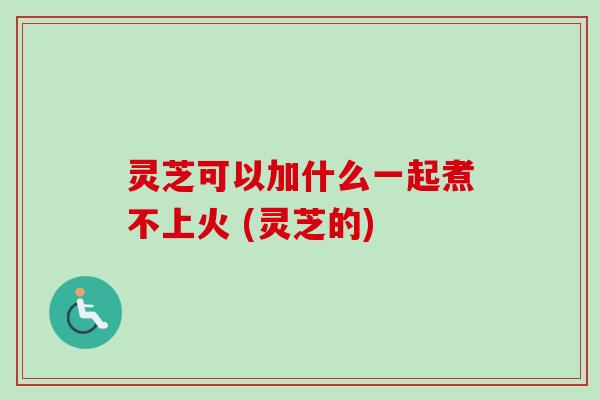 灵芝可以加什么一起煮不上火 (灵芝的)