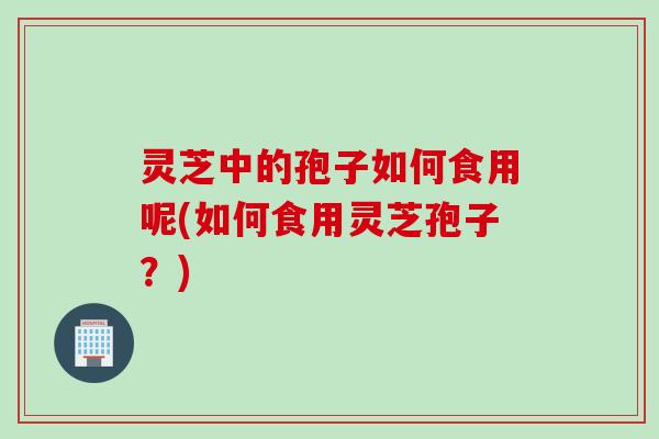 灵芝中的孢子如何食用呢(如何食用灵芝孢子?)