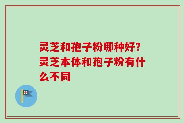 灵芝和孢子粉哪种好？灵芝本体和孢子粉有什么不同