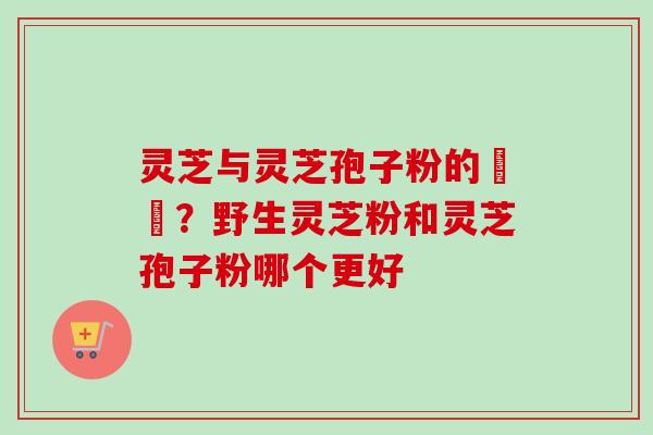 灵芝与灵芝孢子粉的區別?野生灵芝粉和灵芝孢子粉哪个更好