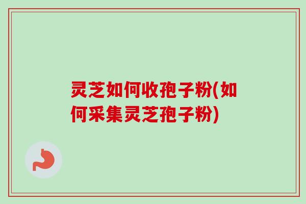 灵芝如何收孢子粉(如何采集灵芝孢子粉)