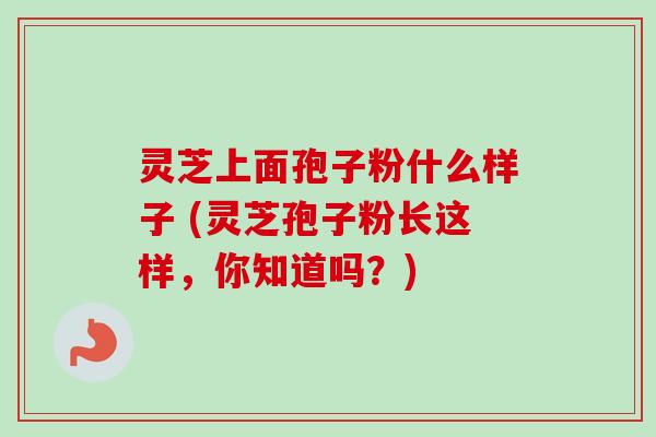 灵芝上面孢子粉什么样子 (灵芝孢子粉长这样,你知道吗?)