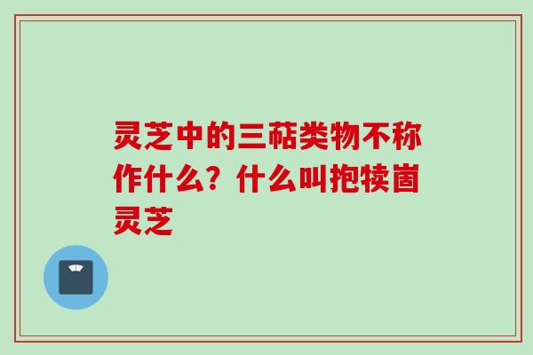 灵芝中的三萜类物不称作什么？什么叫抱犊崮灵芝
