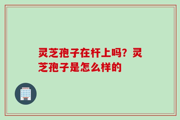灵芝孢子在杆上吗？灵芝孢子是怎么样的