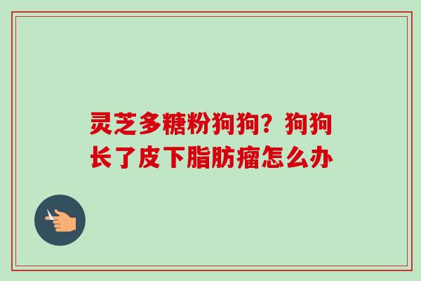 灵芝多糖粉狗狗？狗狗长了皮下脂肪瘤怎么办