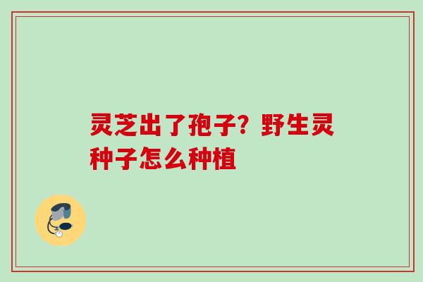 灵芝出了孢子？野生灵种子怎么种植