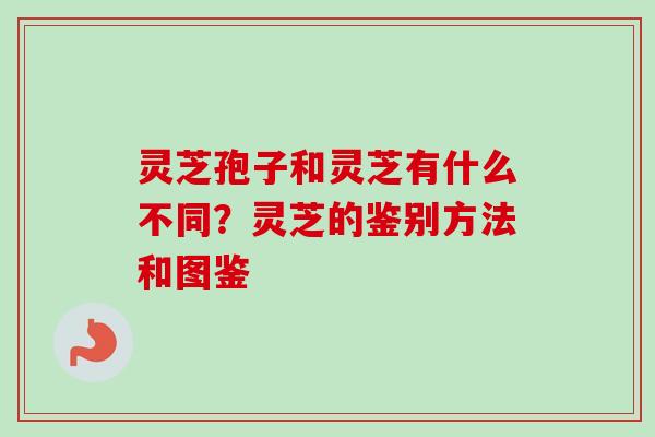 灵芝孢子和灵芝有什么不同?灵芝的鉴别方法和图鉴 灵芝孢子和灵芝有什么不同?灵芝的鉴别方法和图鉴