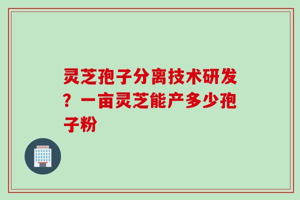 灵芝孢子分离技术研发?一亩灵芝能产多少孢子粉 灵芝孢子分离技术研发?一亩灵芝能产多少孢子粉