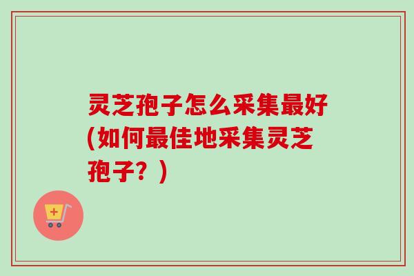 灵芝孢子怎么采集最好(如何最佳地采集灵芝孢子？)