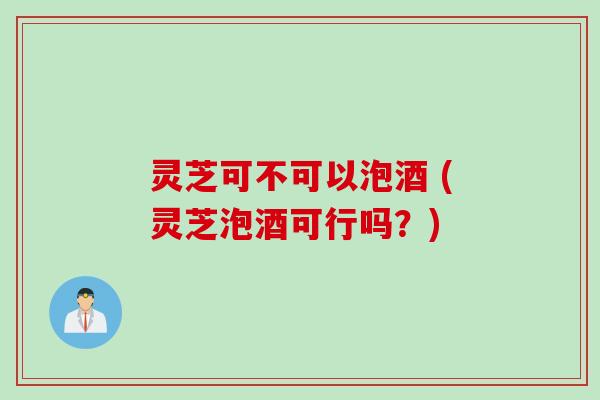 灵芝可不可以泡酒 (灵芝泡酒可行吗？)