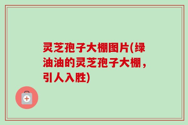 灵芝孢子大棚图片(绿油油的灵芝孢子大棚，引人入胜)