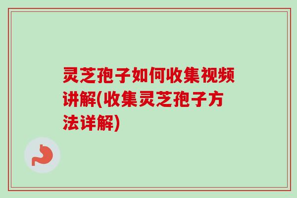 灵芝孢子如何收集视频讲解(收集灵芝孢子方法详解)