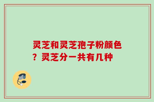 灵芝和灵芝孢子粉颜色？灵芝分一共有几种