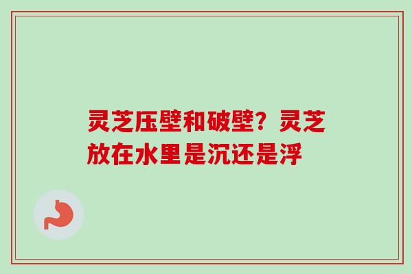 灵芝压壁和破壁？灵芝放在水里是沉还是浮