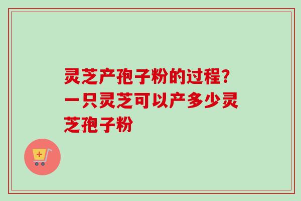 灵芝产孢子粉的过程?一只灵芝可以产多少灵芝孢子粉