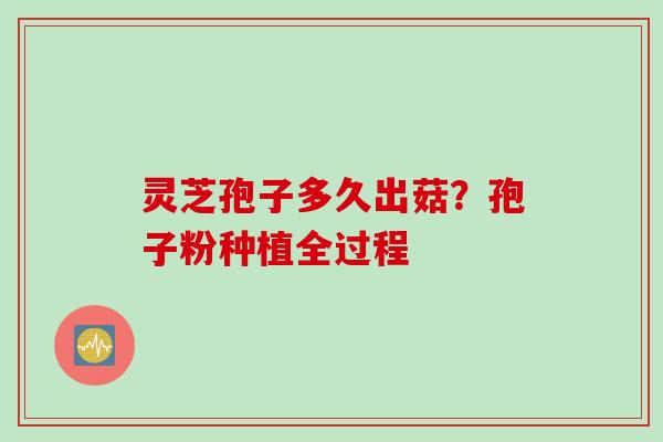 灵芝孢子多久出菇?孢子粉种植全过程