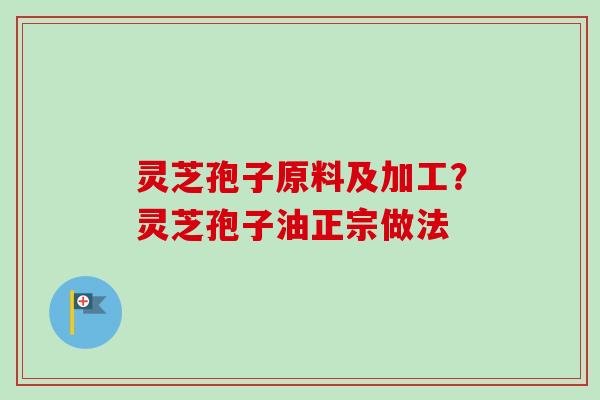 灵芝孢子原料及加工?灵芝孢子油正宗做法
