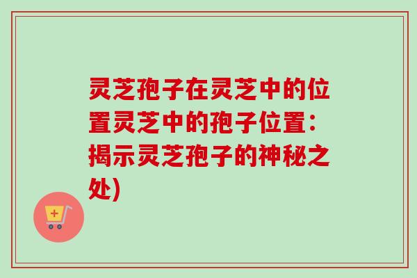 灵芝孢子在灵芝中的位置灵芝中的孢子位置：揭示灵芝孢子的神秘之处)
