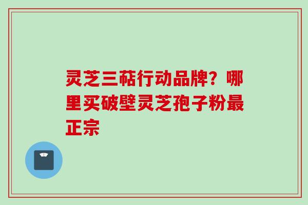 灵芝三萜行动品牌？哪里买破壁灵芝孢子粉最正宗