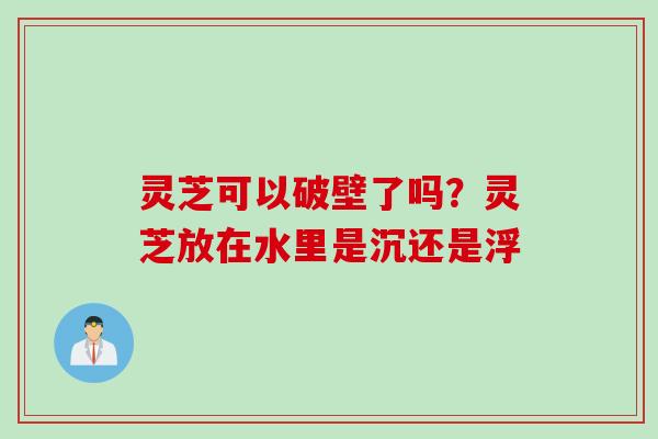 灵芝可以破壁了吗?灵芝放在水里是沉还是浮 灵芝可以破壁了吗?灵芝放在水里是沉还是浮