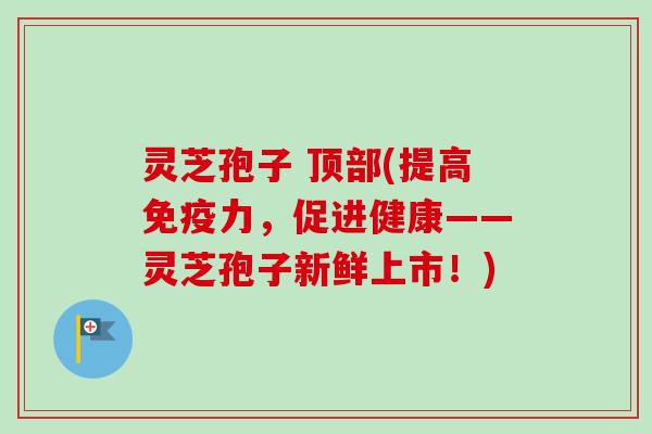 灵芝孢子 顶部(提高免疫力，促进健康——灵芝孢子新鲜上市！)