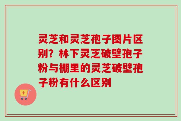 灵芝和灵芝孢子图片区别？林下灵芝破壁孢子粉与棚里的灵芝破壁孢子粉有什么区别