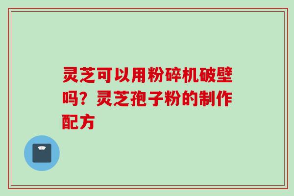 灵芝可以用粉碎机破壁吗?灵芝孢子粉的制作配方