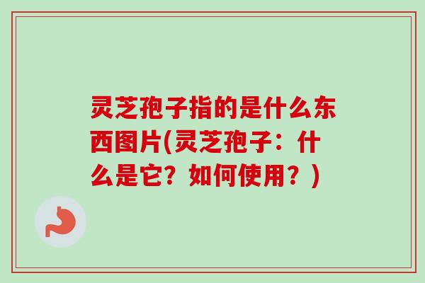 灵芝孢子指的是什么东西图片(灵芝孢子：什么是它？如何使用？)
