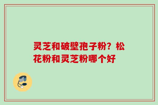 灵芝和破壁孢子粉?松花粉和灵芝粉哪个好