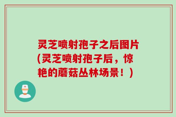 灵芝喷射孢子之后图片(灵芝喷射孢子后,惊艳的蘑菇丛林场景!)