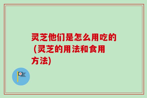 灵芝他们是怎么用吃的 (灵芝的用法和食用方法)