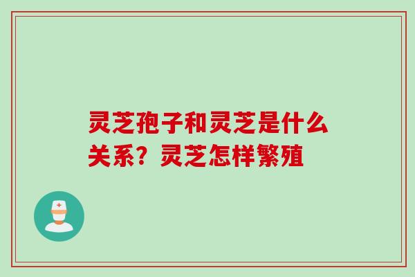 灵芝孢子和灵芝是什么关系?灵芝怎样繁殖 灵芝孢子和灵芝是什么关系?灵芝怎样繁殖
