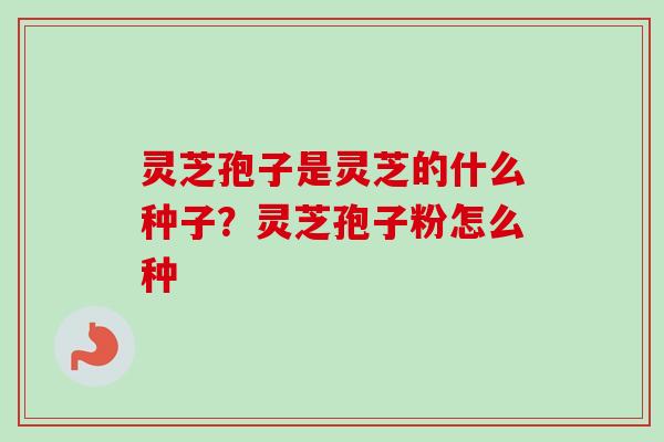 灵芝孢子是灵芝的什么种子？灵芝孢子粉怎么种