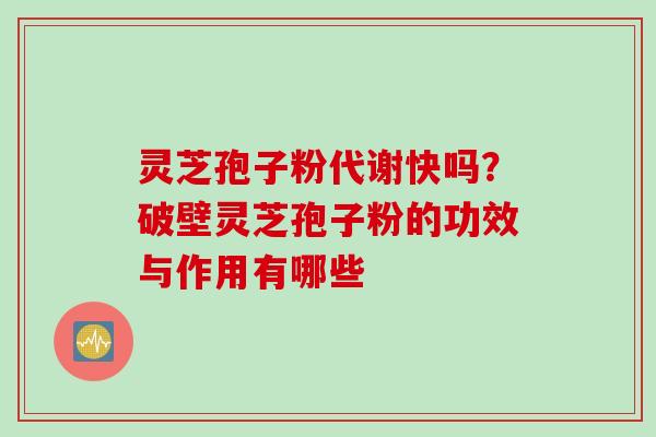 灵芝孢子粉代谢快吗？破壁灵芝孢子粉的功效与作用有哪些