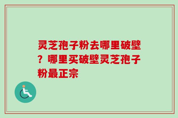 灵芝孢子粉去哪里破壁？哪里买破壁灵芝孢子粉最正宗
