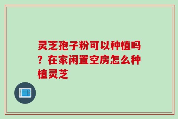 灵芝孢子粉可以种植吗?在家闲置空房怎么种植灵芝