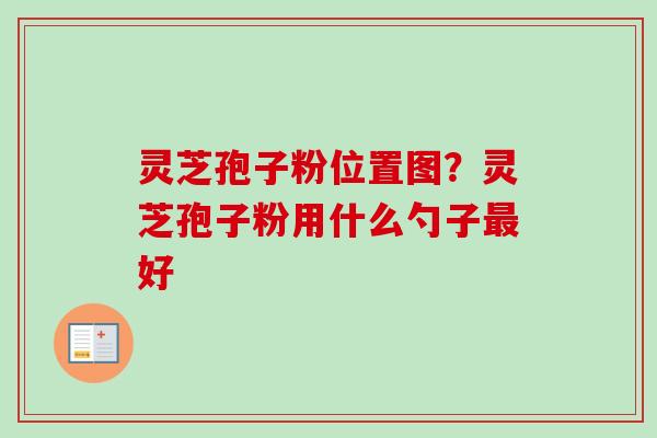 灵芝孢子粉位置图?灵芝孢子粉用什么勺子最好