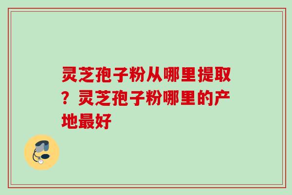 灵芝孢子粉从哪里提取?灵芝孢子粉哪里的产地最好