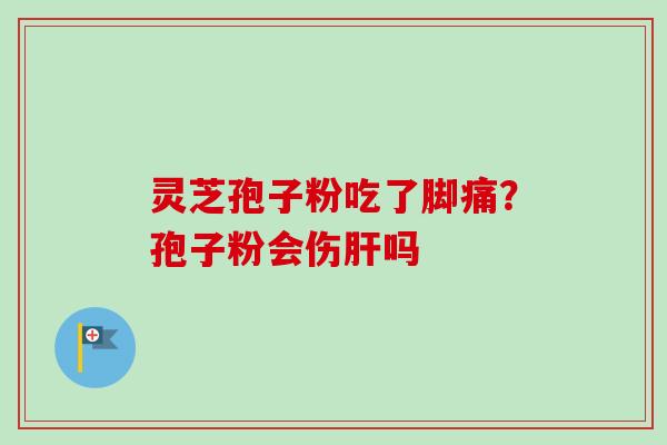 灵芝孢子粉吃了脚痛?孢子粉会伤肝吗