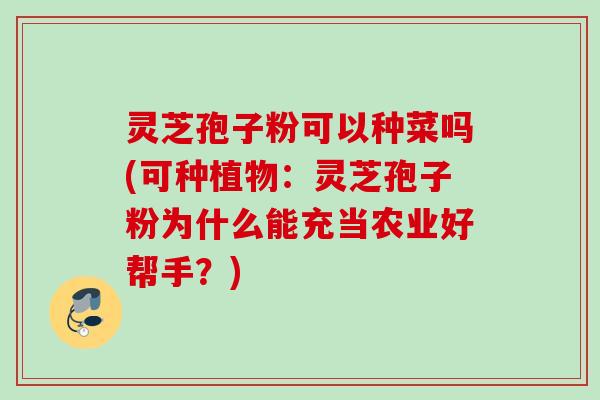 灵芝孢子粉可以种菜吗(可种植物:灵芝孢子粉为什么能充当农业好帮手?)