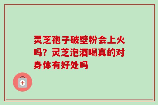 灵芝孢子破壁粉会上火吗?灵芝泡酒喝真的对身体有好处吗